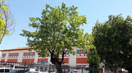 Manisa / Akhisar Gazi Ortaokulu